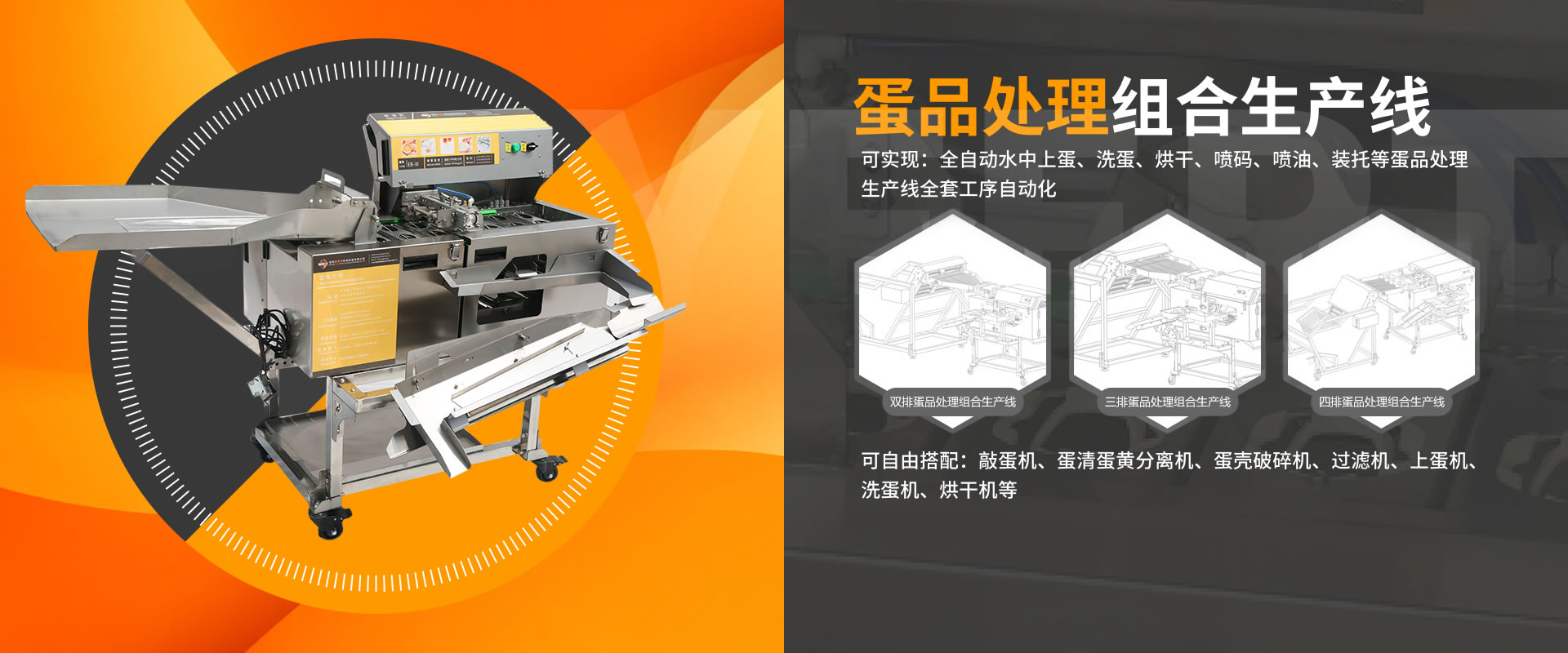 蛋品處理組合生產線